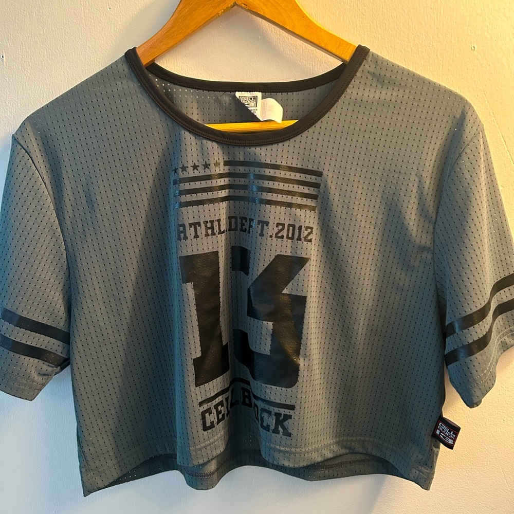 Cell Block 13 Gray Mesh Crop Top